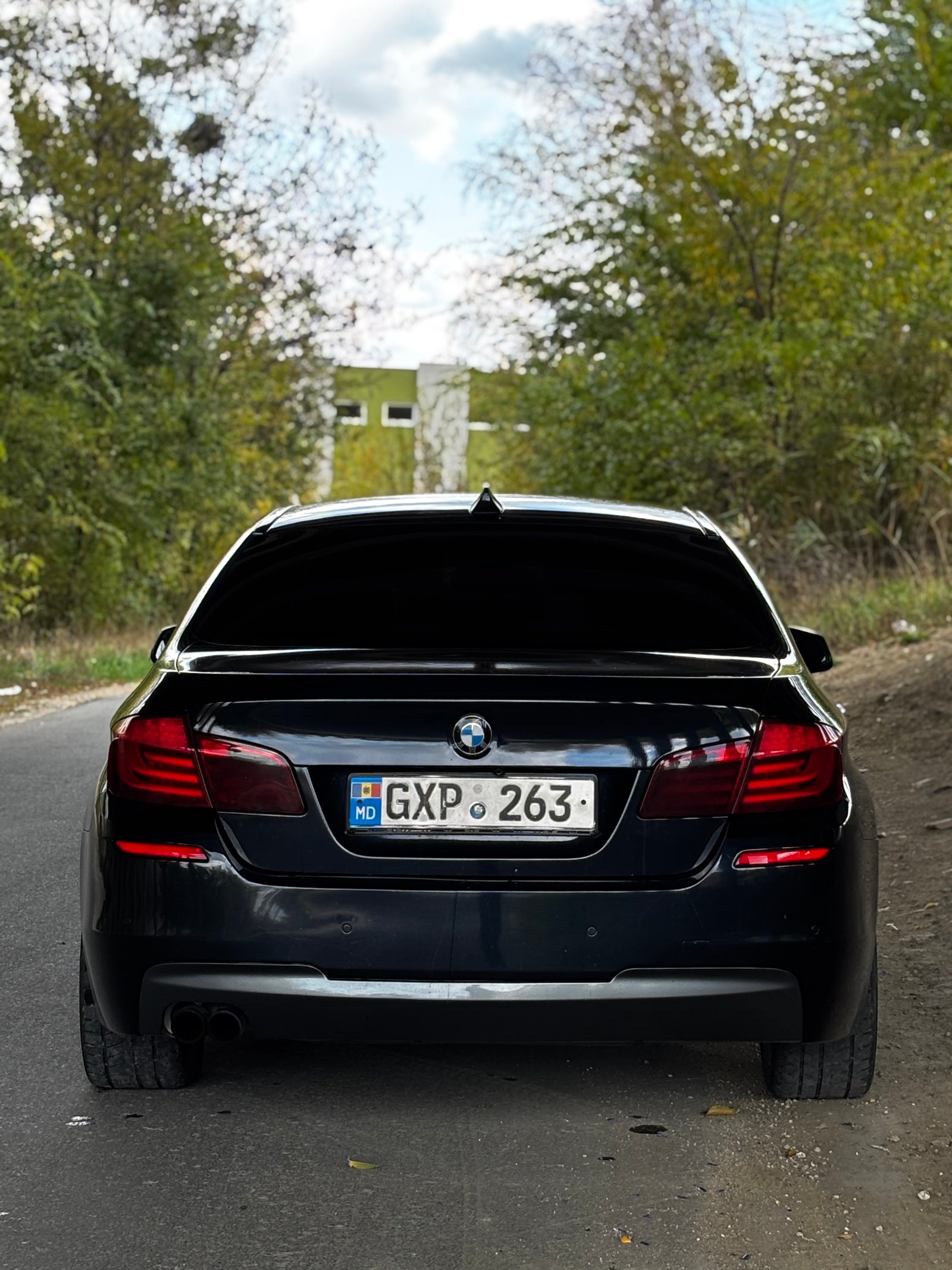 BMW F10 (2010) – 2.0 Diesel Automat, 190 CP 3